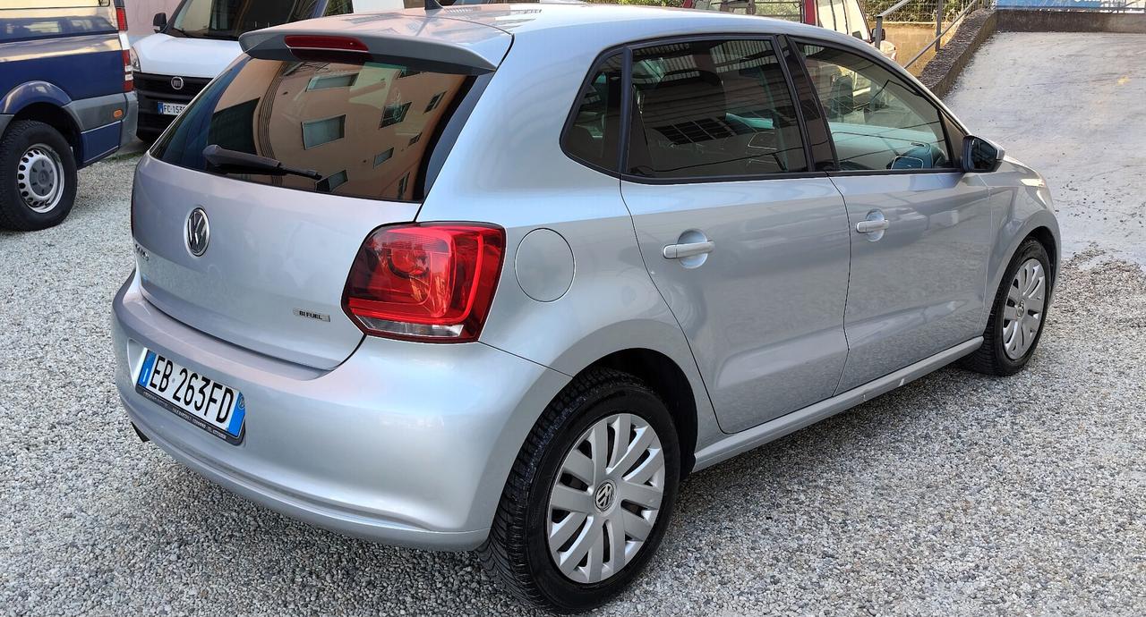 Volkswagen Polo 1.4 5 porte Highline BiFuel