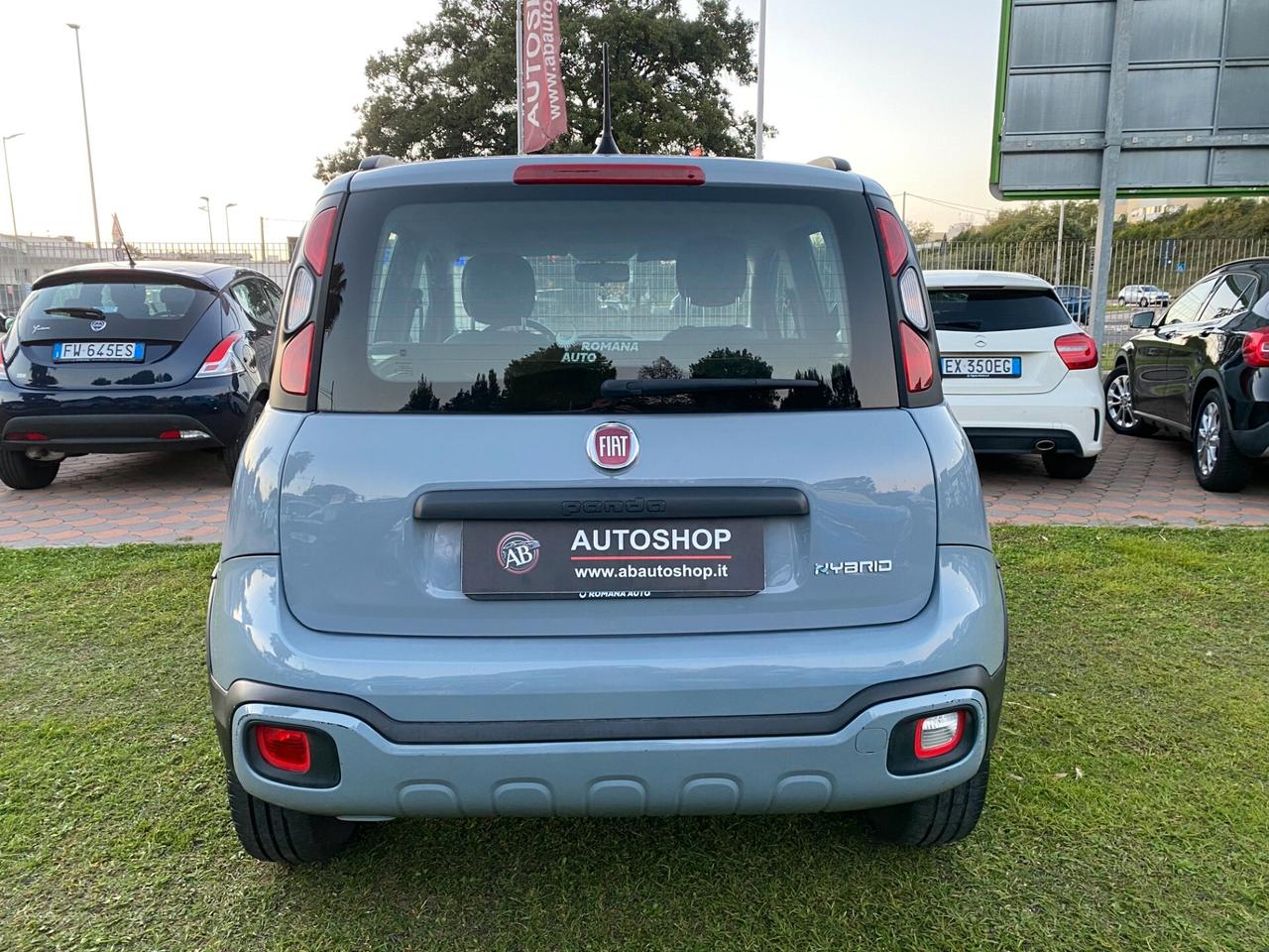 FIAT - Panda - 1.0 FireFly S&S Hybrid City Cross - NEOPATENTATI - FINANZIABILE - PERMUTE