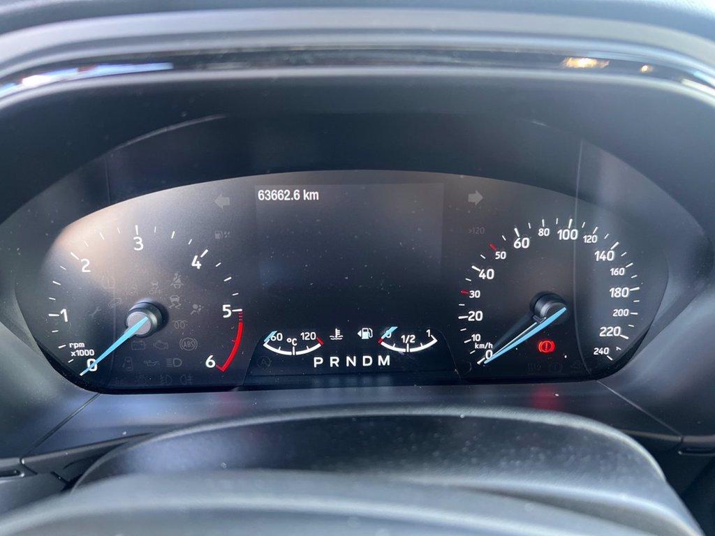 FORD Focus 2.0 EcoBlue 150 CV automatico 5p. ST-Line Co-Pilot del 2019