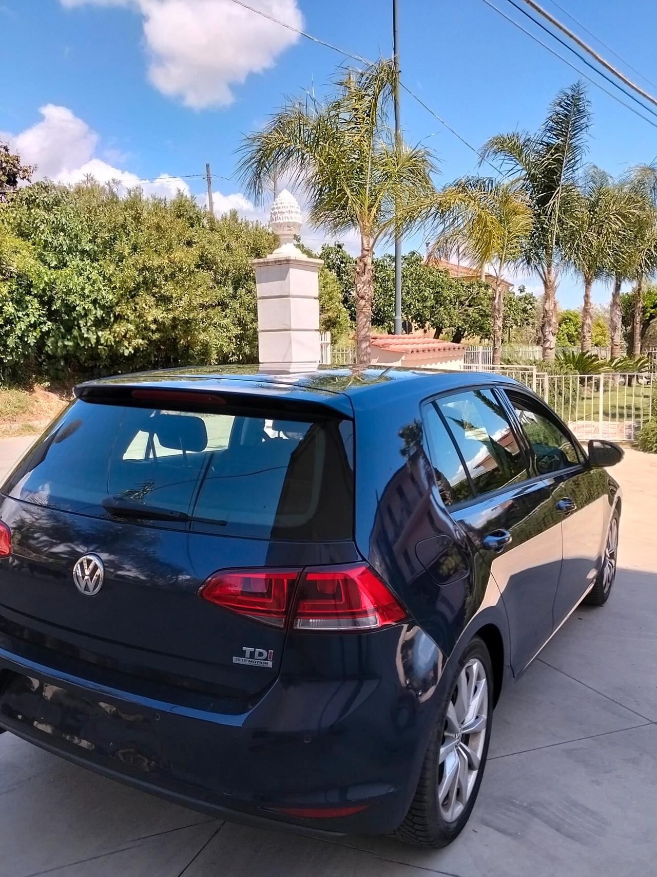 Volkswagen Golf 1.6 TDI 5p. Highline BlueMotion Technology