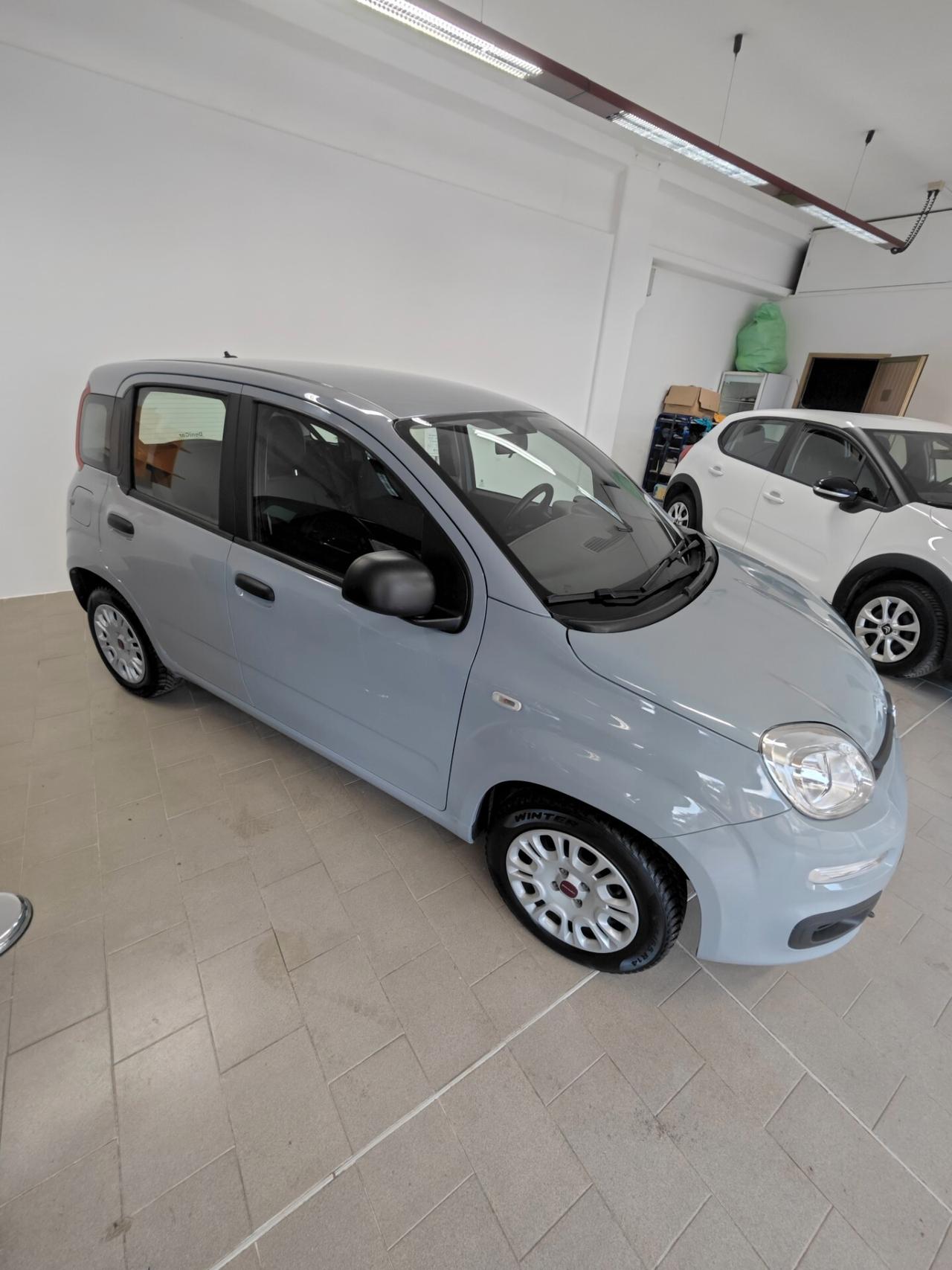 Fiat Panda 1.2 EasyPower Easy