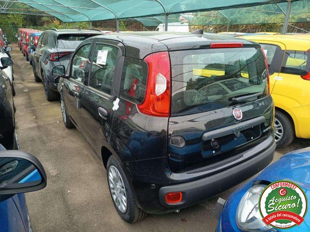 FIAT Panda Pandina 1.0 hybrid PDC/COCKPIT/Cruise PREZZO REALE