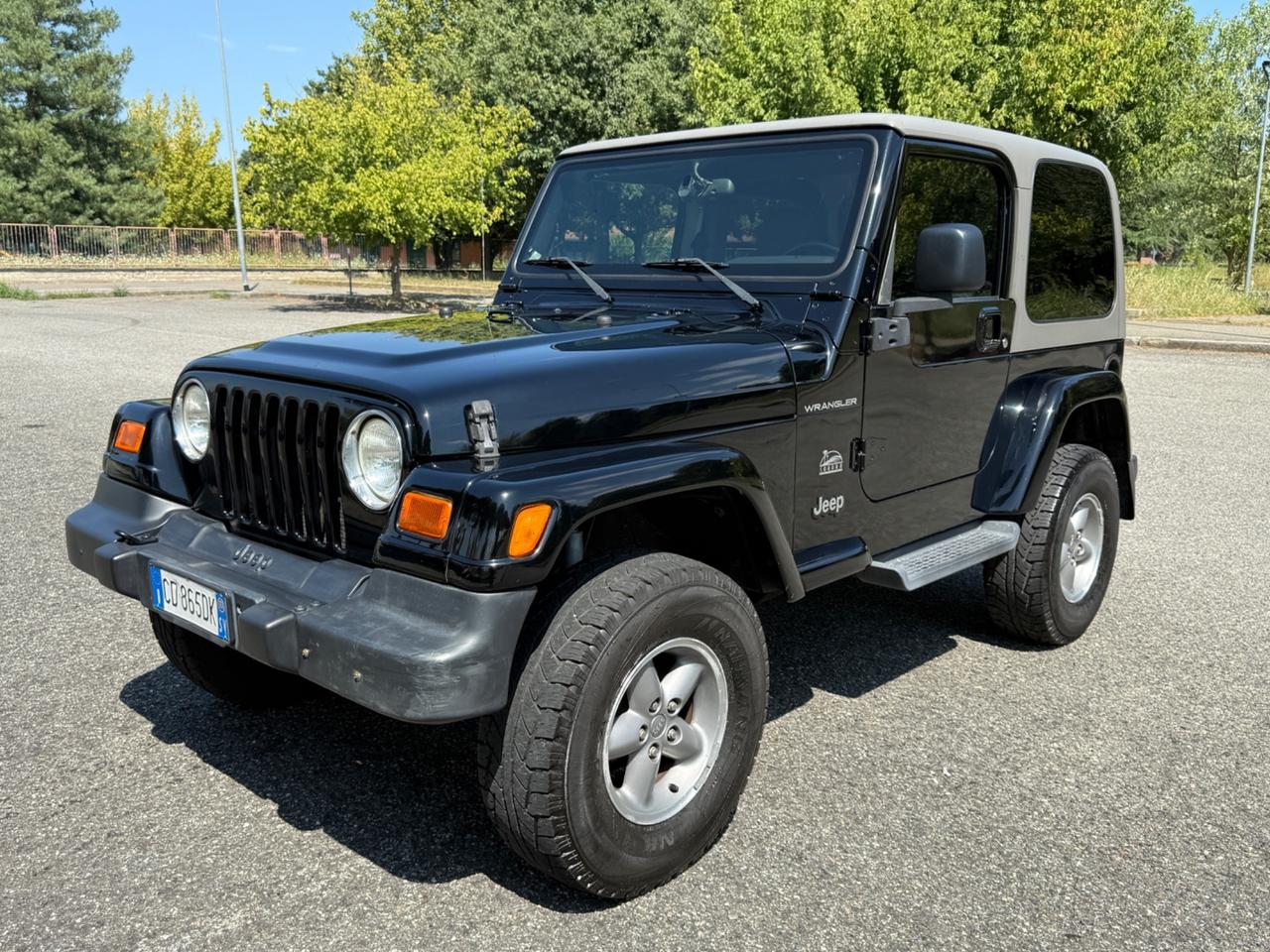Jeep Wrangler 4.0 Sahara “Gan. Traino” 2003