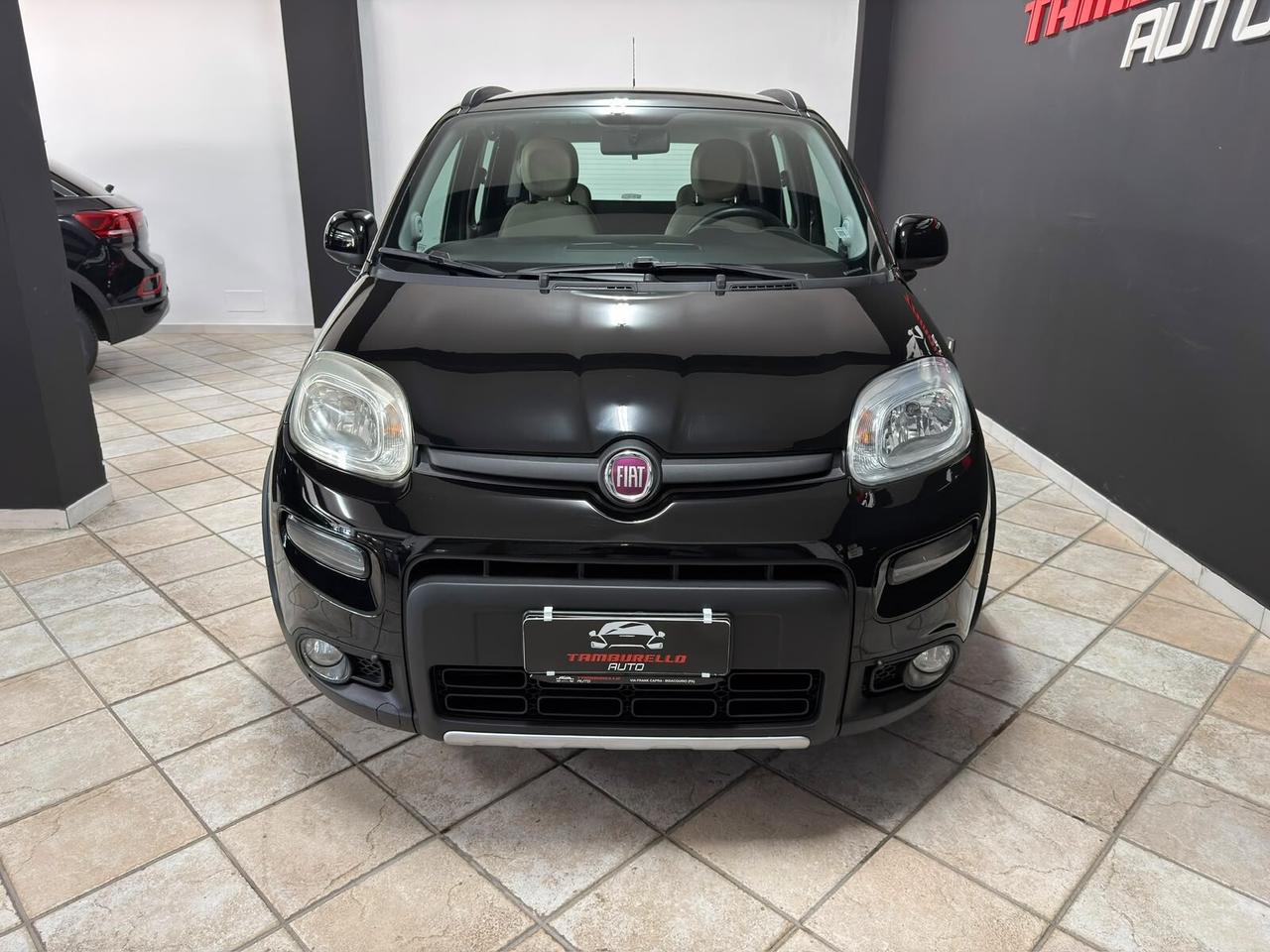 FIAT Panda 1.3 MTJ (75) 4x4 Trekking 2012
