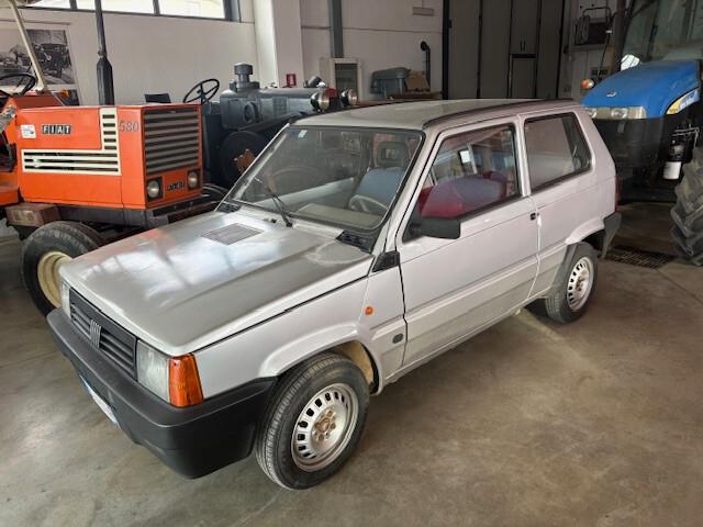 Fiat Panda 1100 i.e. cat Young