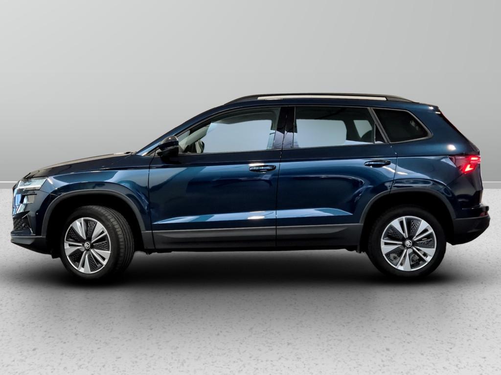 Skoda Karoq 2.0 tdi evo Executive 115cv dsg
