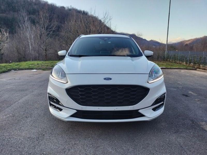 Ford Kuga Kuga 2.0 EcoBlue 120 CV aut. 2WD ST-Line