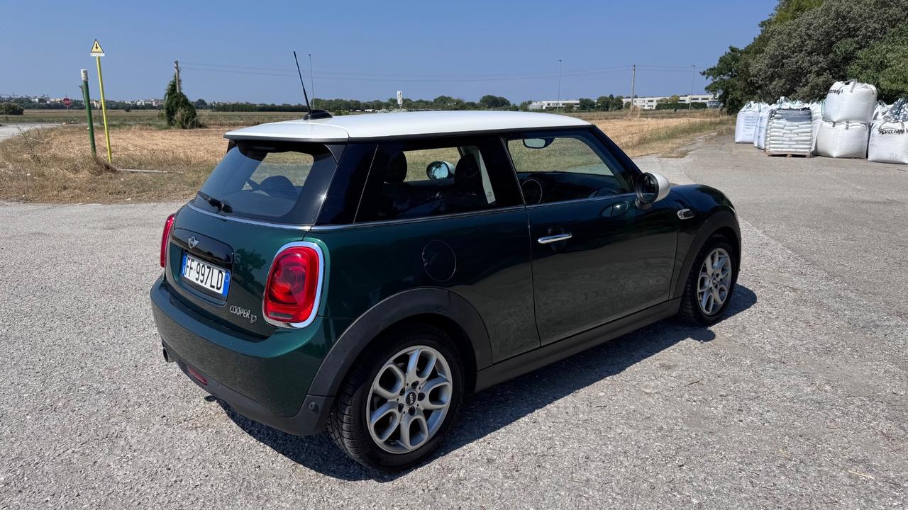 Mini 1.5 One D Hype