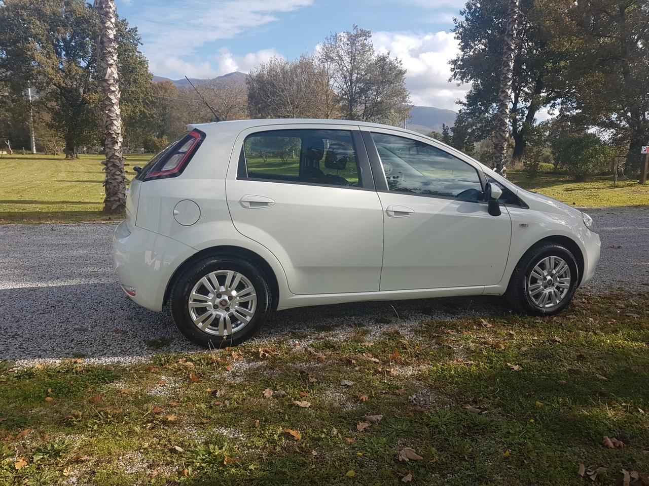 Fiat Punto 1.3 MJT II 75 CV 5 porte Street