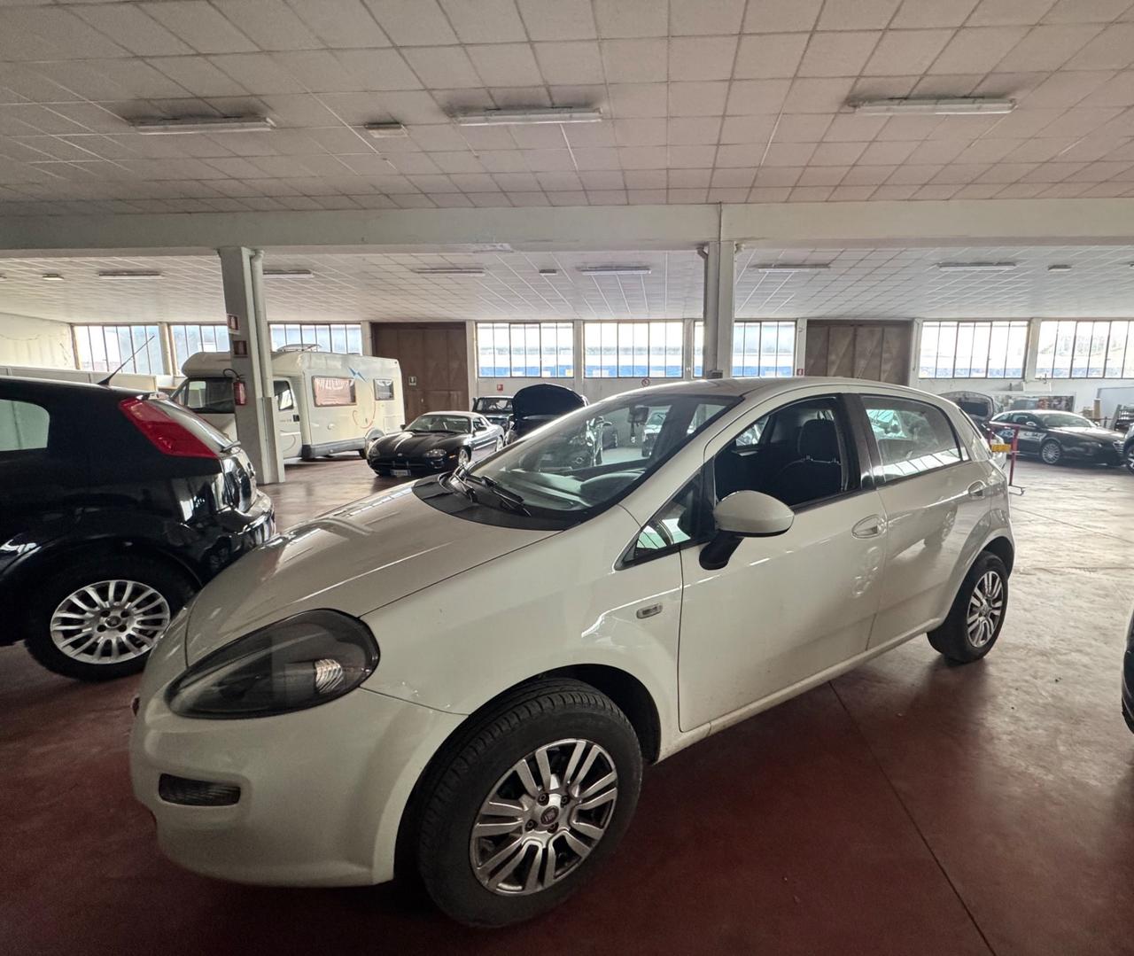Fiat Punto 1.4 8V 5 porte Natural Power Lounge