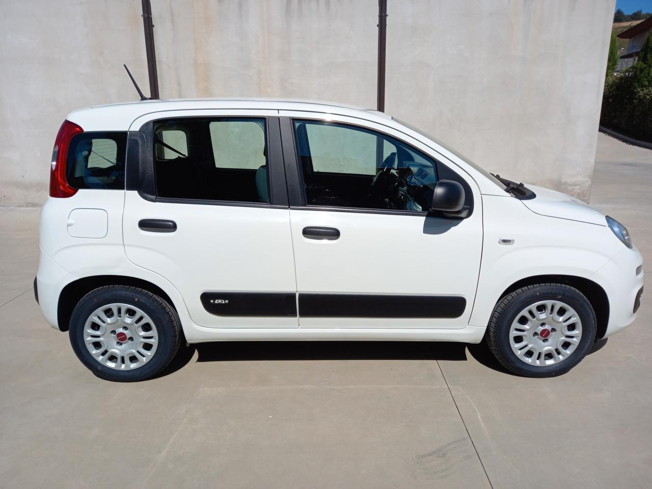 Fiat Panda 1.2 BENZ/GPL2020(IN SEDE YPSILON PANDA 4X4)