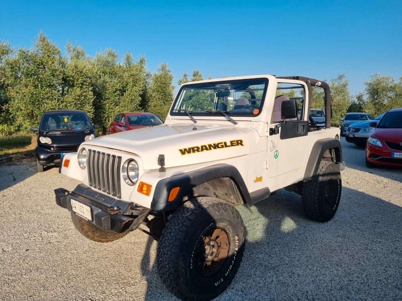 Jeep Wrangler 4.0 cat Hard top (EU)