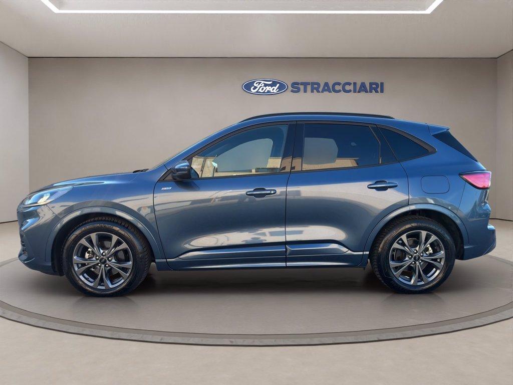 FORD Kuga 2.0 ecoblue ST-Line 2wd 120cv auto del 2024