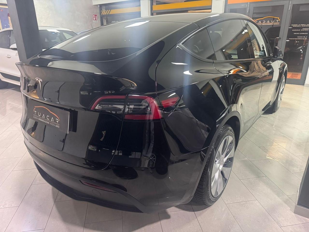 Tesla Model Y -- Standard Range / Standard S #8355