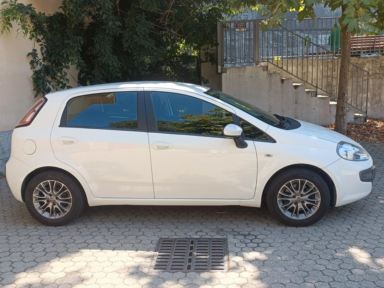 Fiat Punto Evo Punto Evo 1.3 Mjt 95 CV DPF 5 porte S&S Emotion