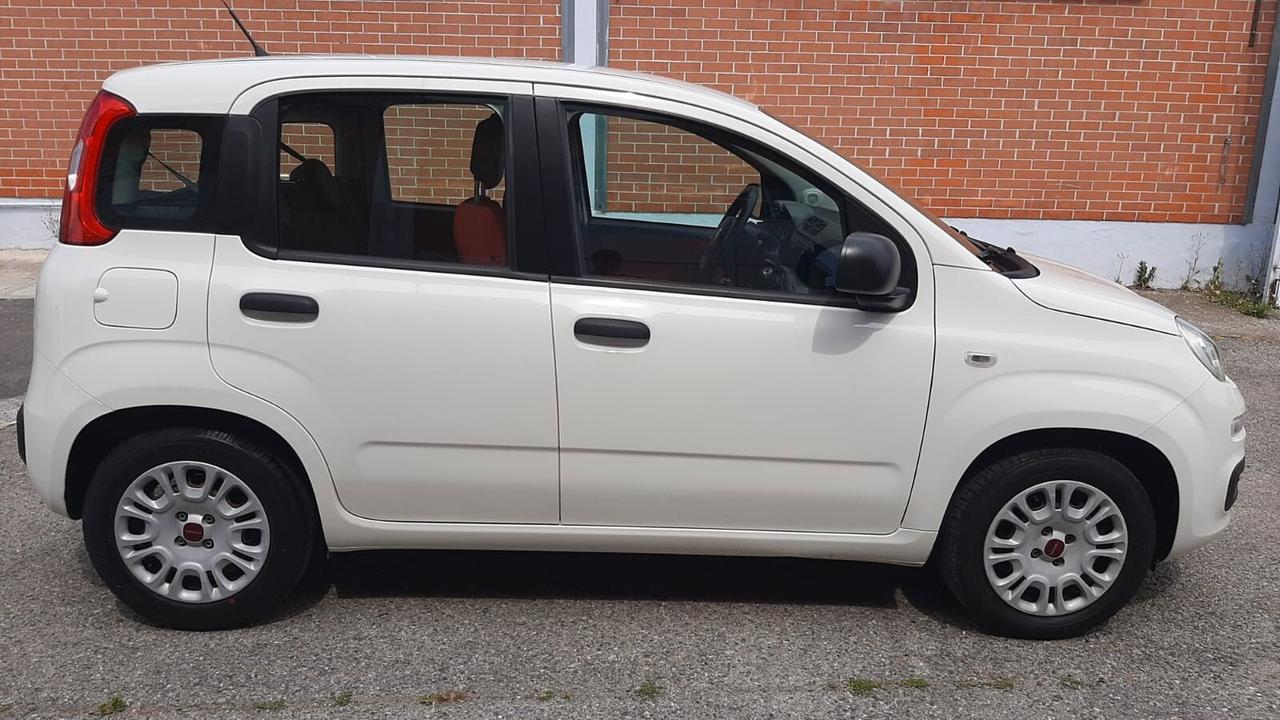 FIAT PANDA 1.2 Easy 2016 neopatentati