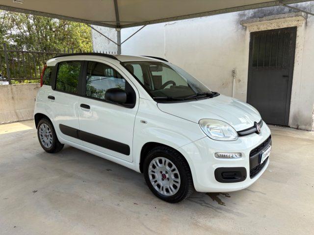 FIAT Panda 1.2 Easy EURO 5 BENZ OK NEOPATENTATI PRONTA CONS.