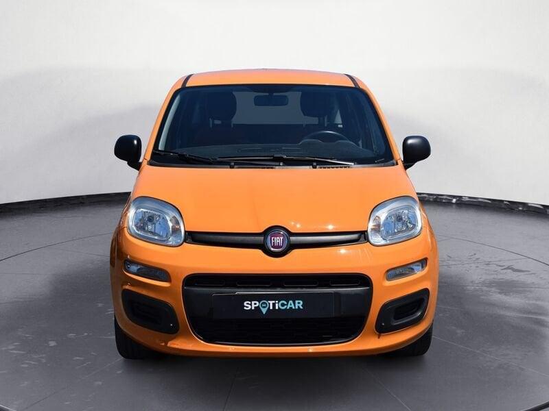 FIAT Panda Panda 1.2 Pop