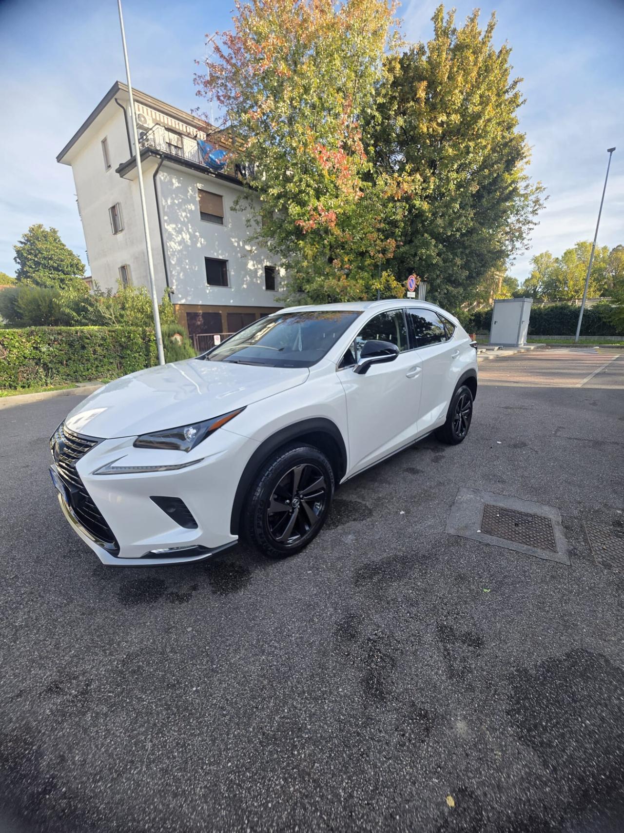 Lexus NX 300h Hybrid 4WD Premium
