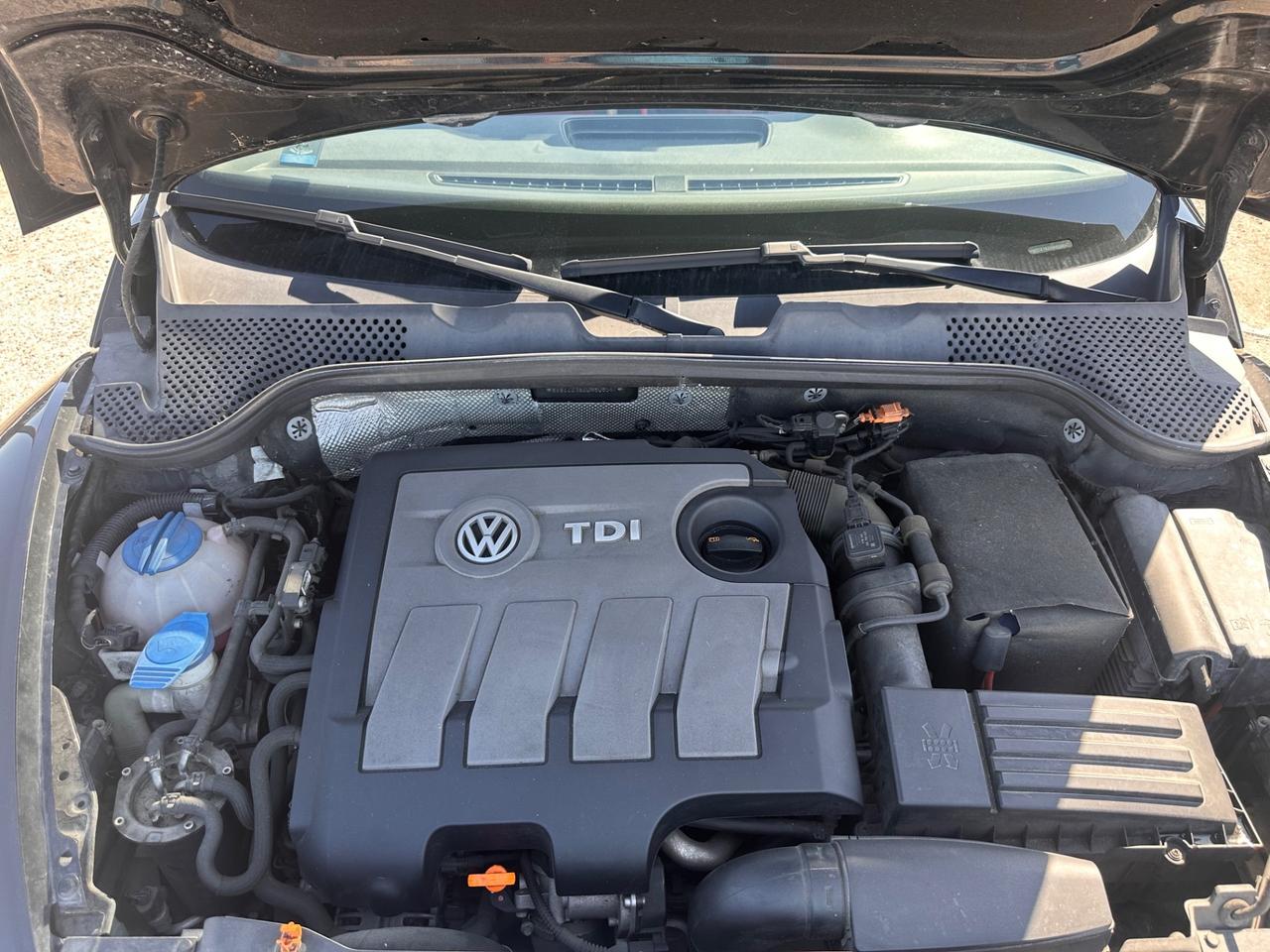 Volkswagen Maggiolino Cabrio 1.6 TDI Design 50esimo anniversario