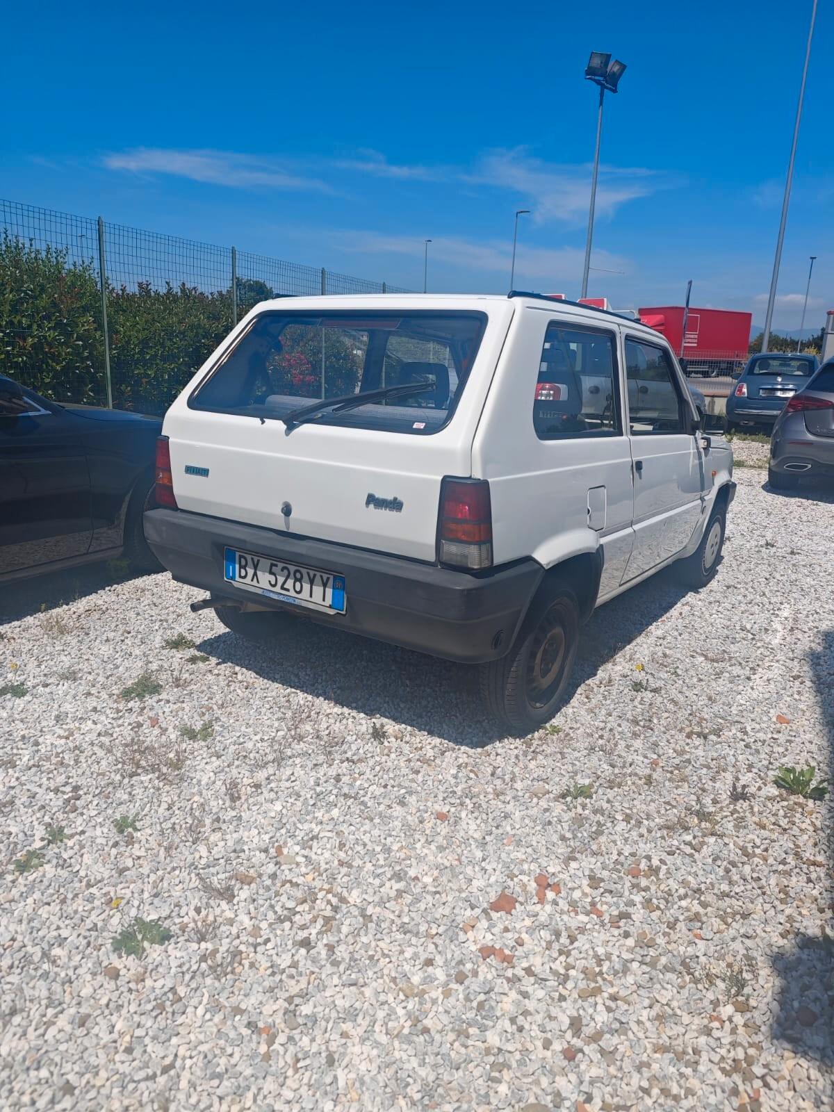 Fiat Panda 1100 i.e. cat College