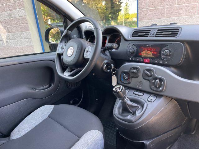 FIAT Panda 1.0 FIREFLY HYBRID 70CV CITY LIFE BLUETOOH
