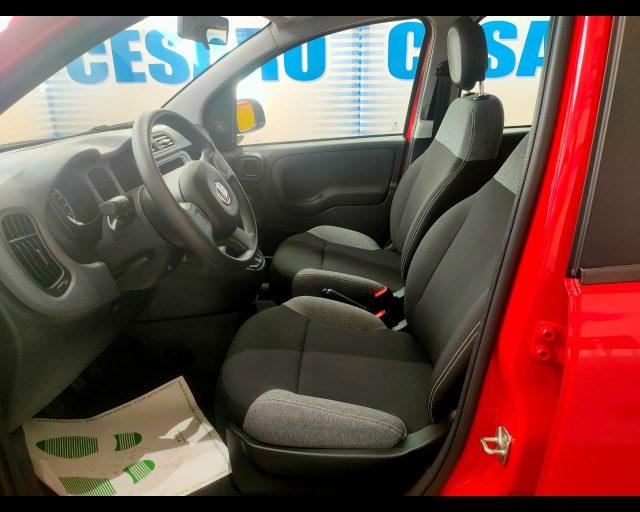 FIAT New Panda 1.0 firefly hybrid 70cv 5 posti