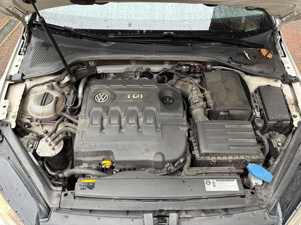 Volkswagen Golf 1.6 TDI Bluemotion #7595