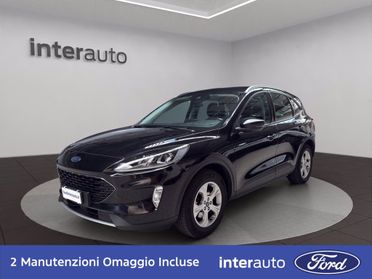 FORD Kuga 1.5 EcoBlue 120 CV 2WD Connect del 2021