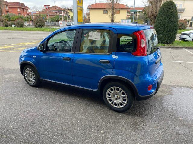 FIAT Panda 1.0 FireFly S&S Hybrid Pandina