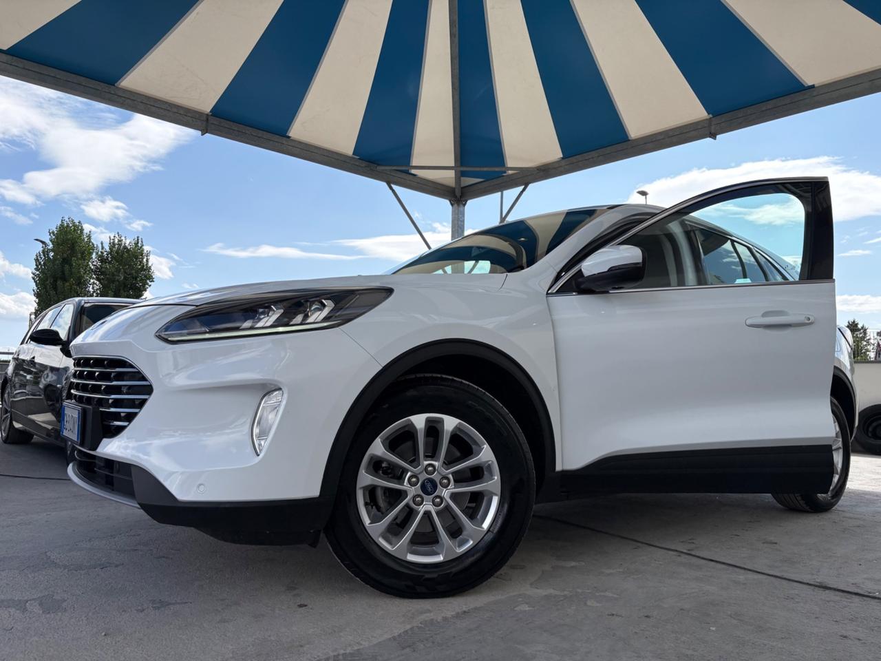 Ford Kuga 1.5 EcoBlue 120 CV 2WD Titanium
