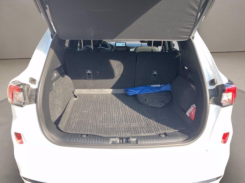 FORD Kuga 2.0 ecoblue st-line x awd 120cv auto del 2023