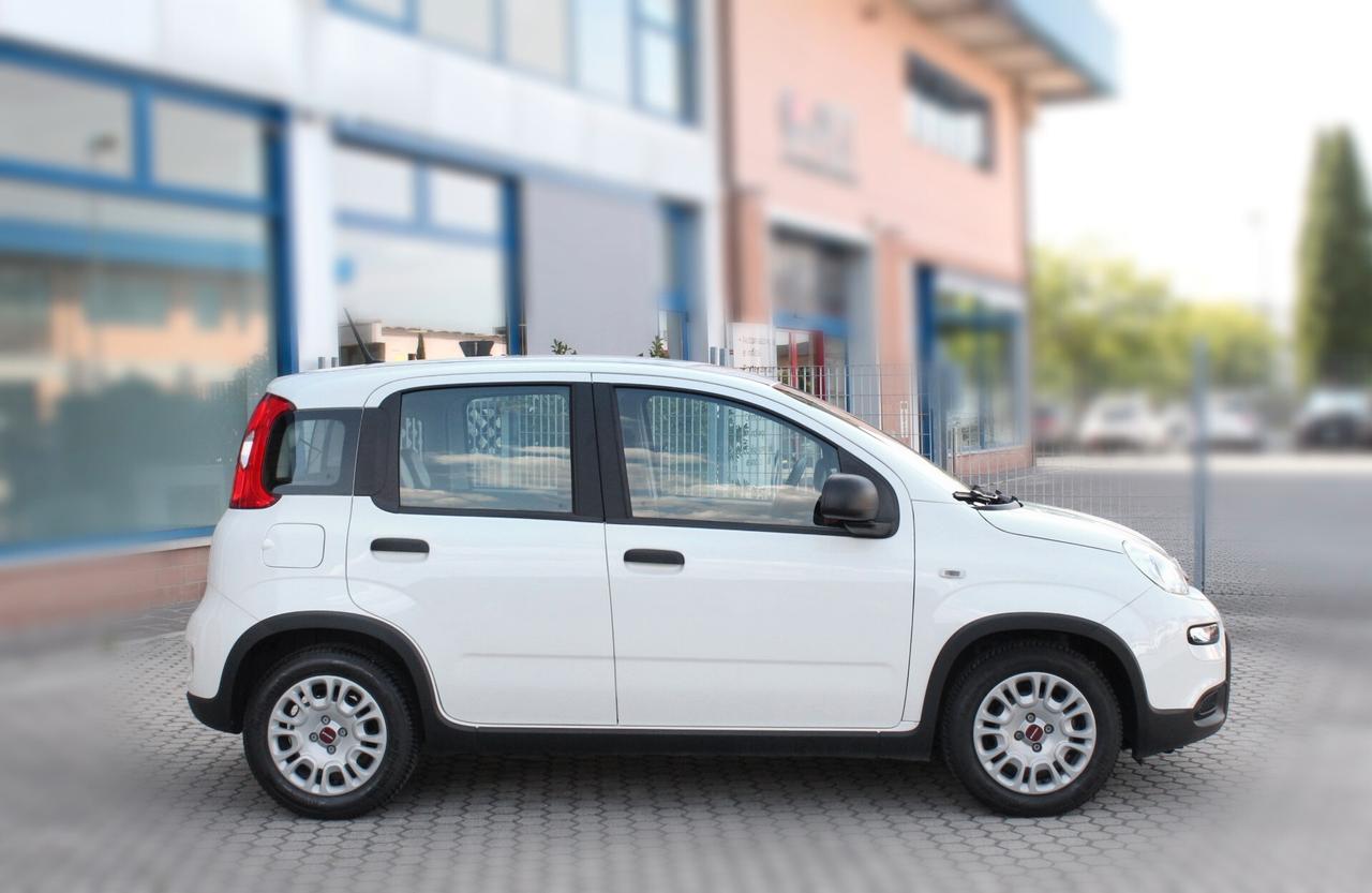Fiat Panda 1.0 FireFly S&S Hybrid-OK NEOPATENTATI