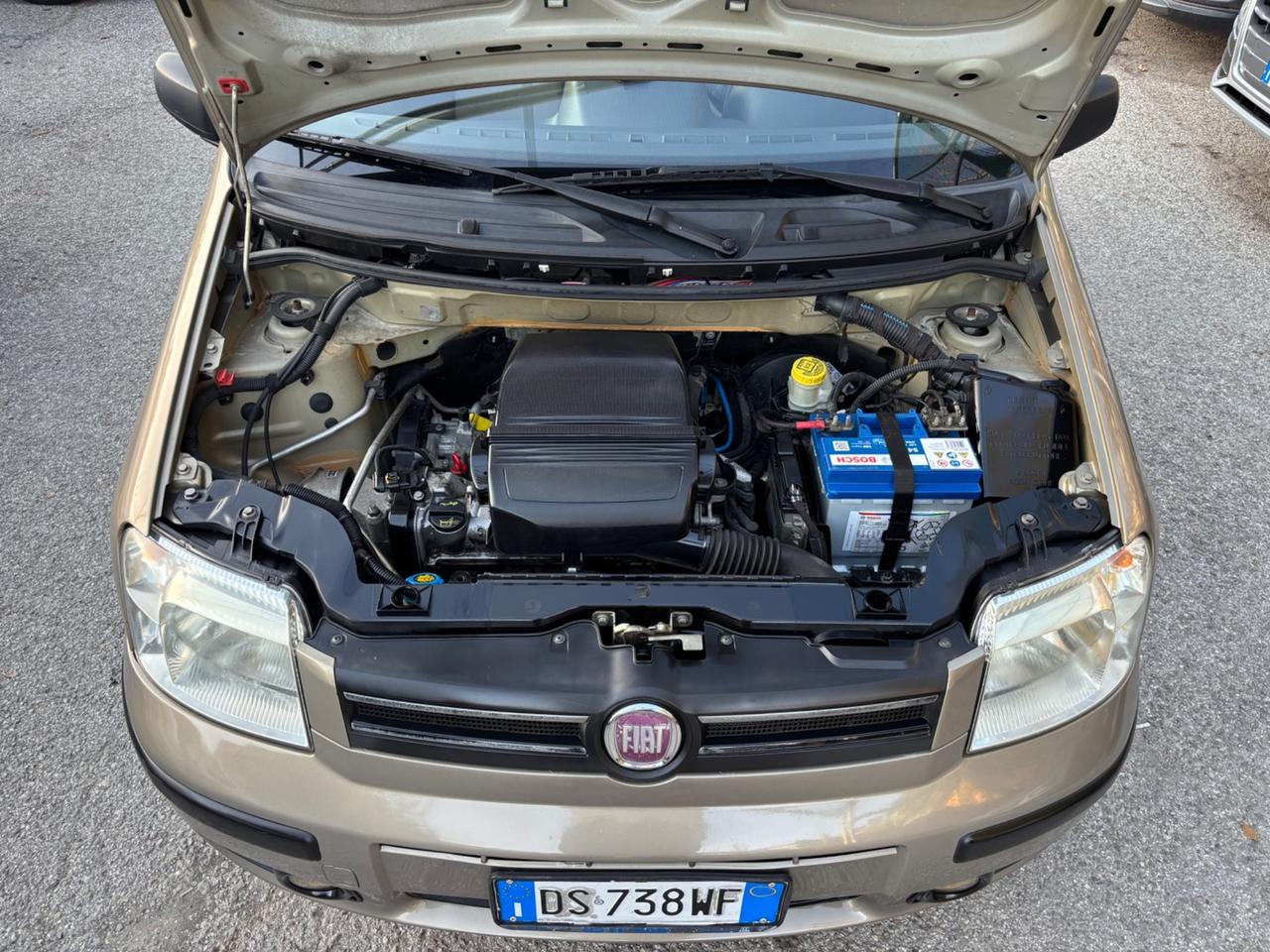Fiat Panda 1.2 Dynamic OK NEOPATENTATI