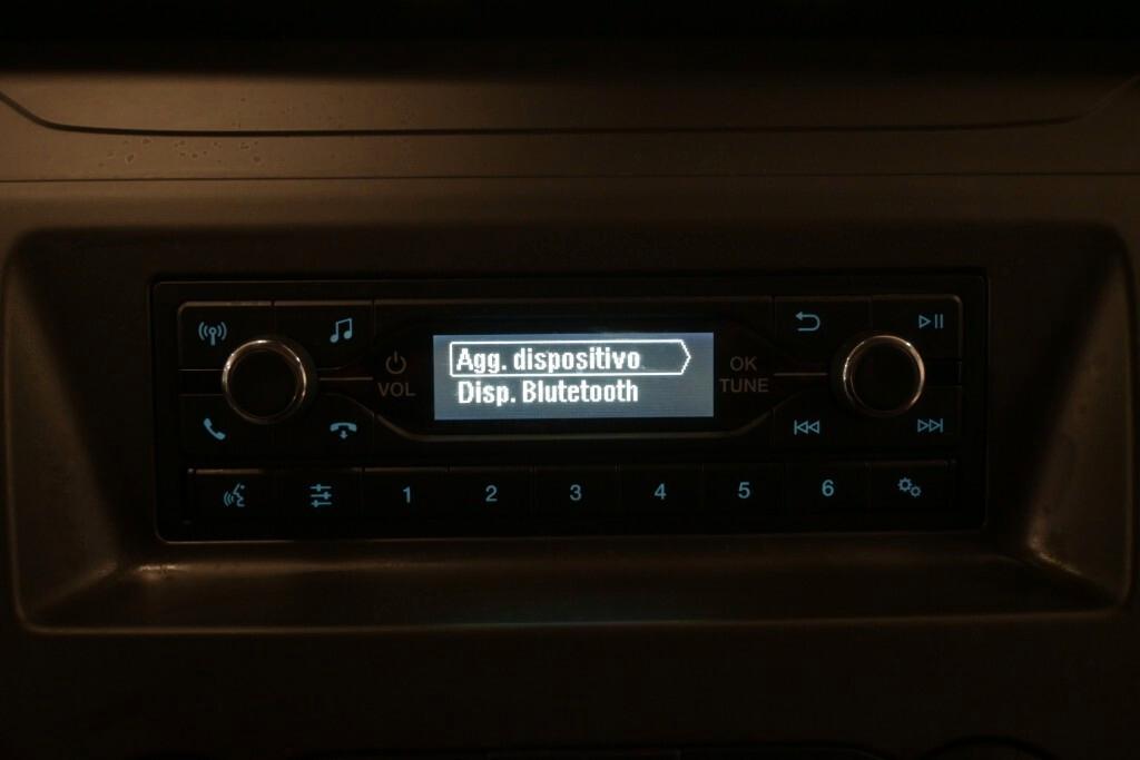 FORD TRANSIT 350 2.0TDCI ECOBLUE MHEV 130CV PM-TM L2H2