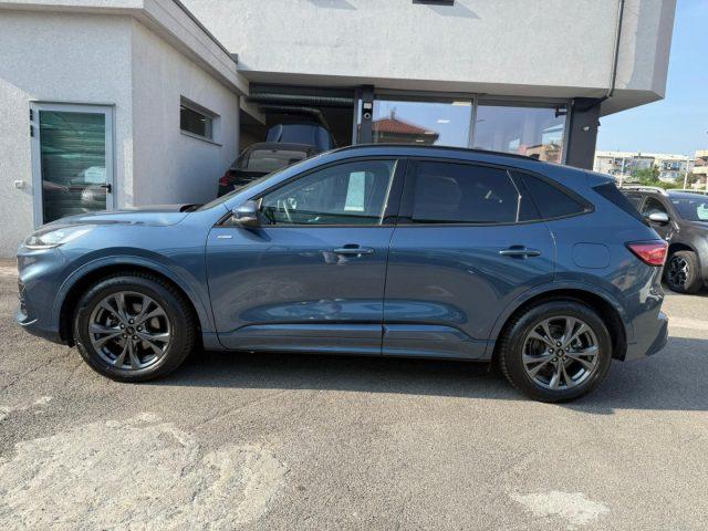 FORD Kuga 2.0 EcoBlue 120 CV aut. 2WD ST-Line