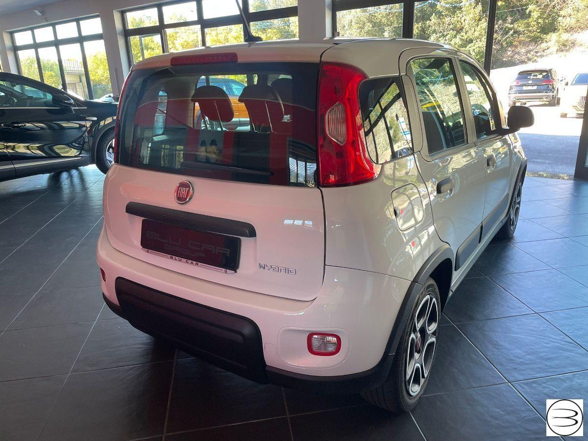 FIAT - Panda - 1.0 FireFly S&S Hybrid City Life