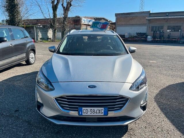 Ford Focus 1.5 EcoBlue 120 CV automatico SW Business Co-Pilot