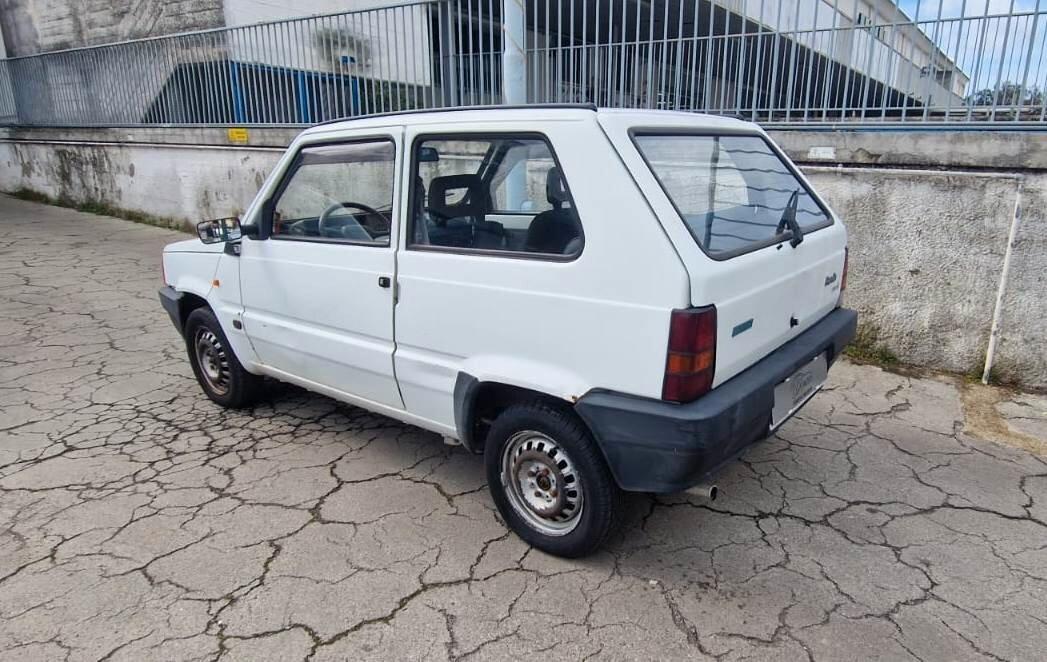 Fiat Panda 900 i.e. cat Young