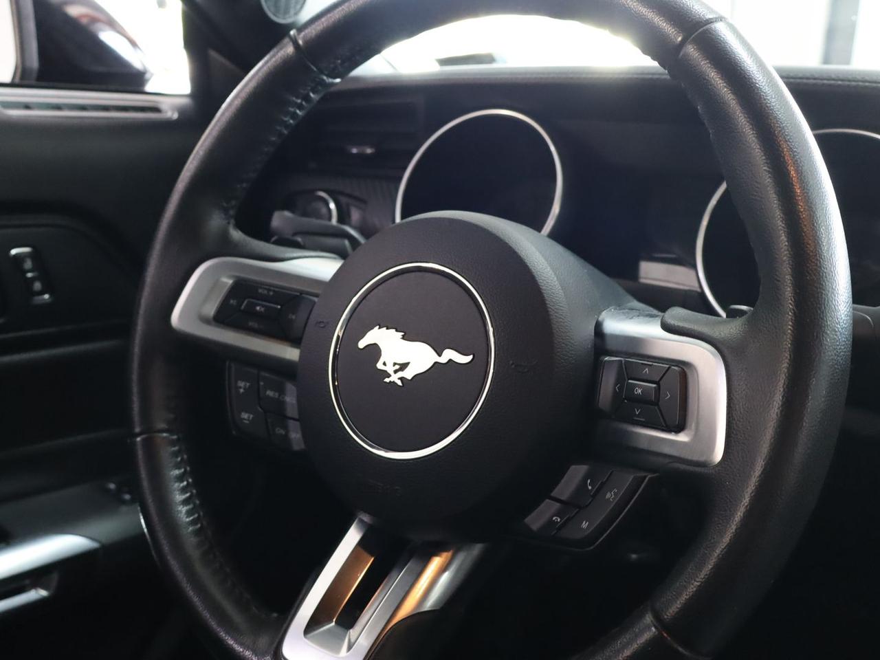 Ford Mustang 2.3 EcoBoost Shelby NO SUPERBO #50271