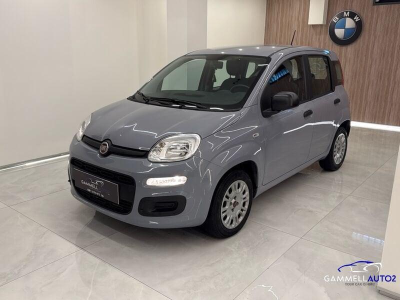 FIAT Panda Panda 1.2 Easy