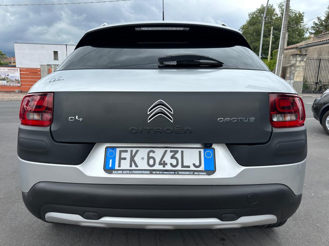 Citroen C4 Cactus BlueHDi 100 Rip Curl