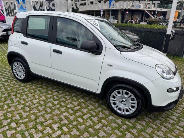 FIAT Panda 1.0 FireFly S&S Hybrid ITA PACK CITY NO VINCOLI