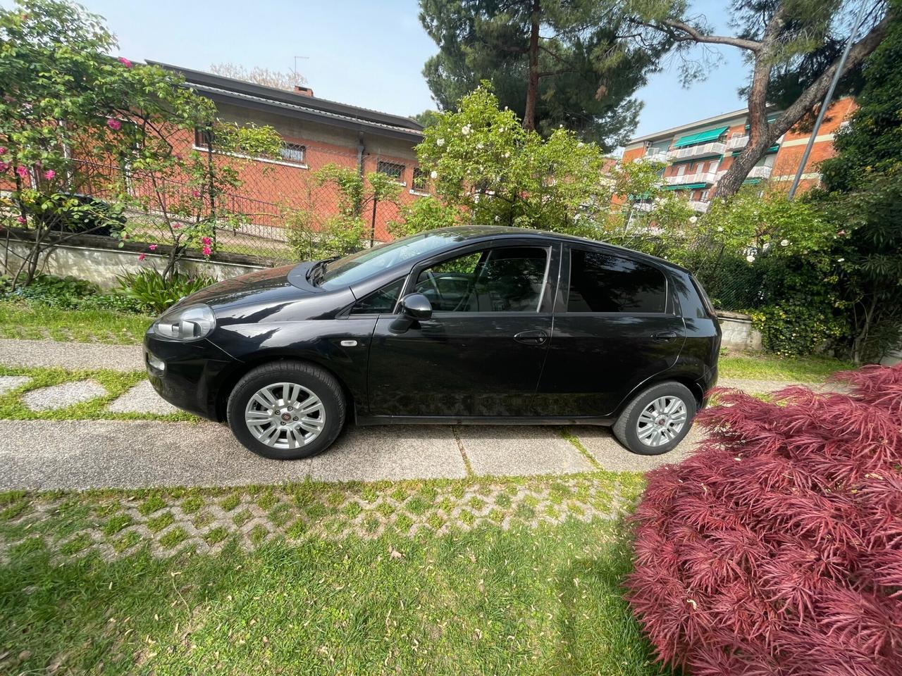 Fiat Punto 1.2 OK NEOPATENTATI #BP