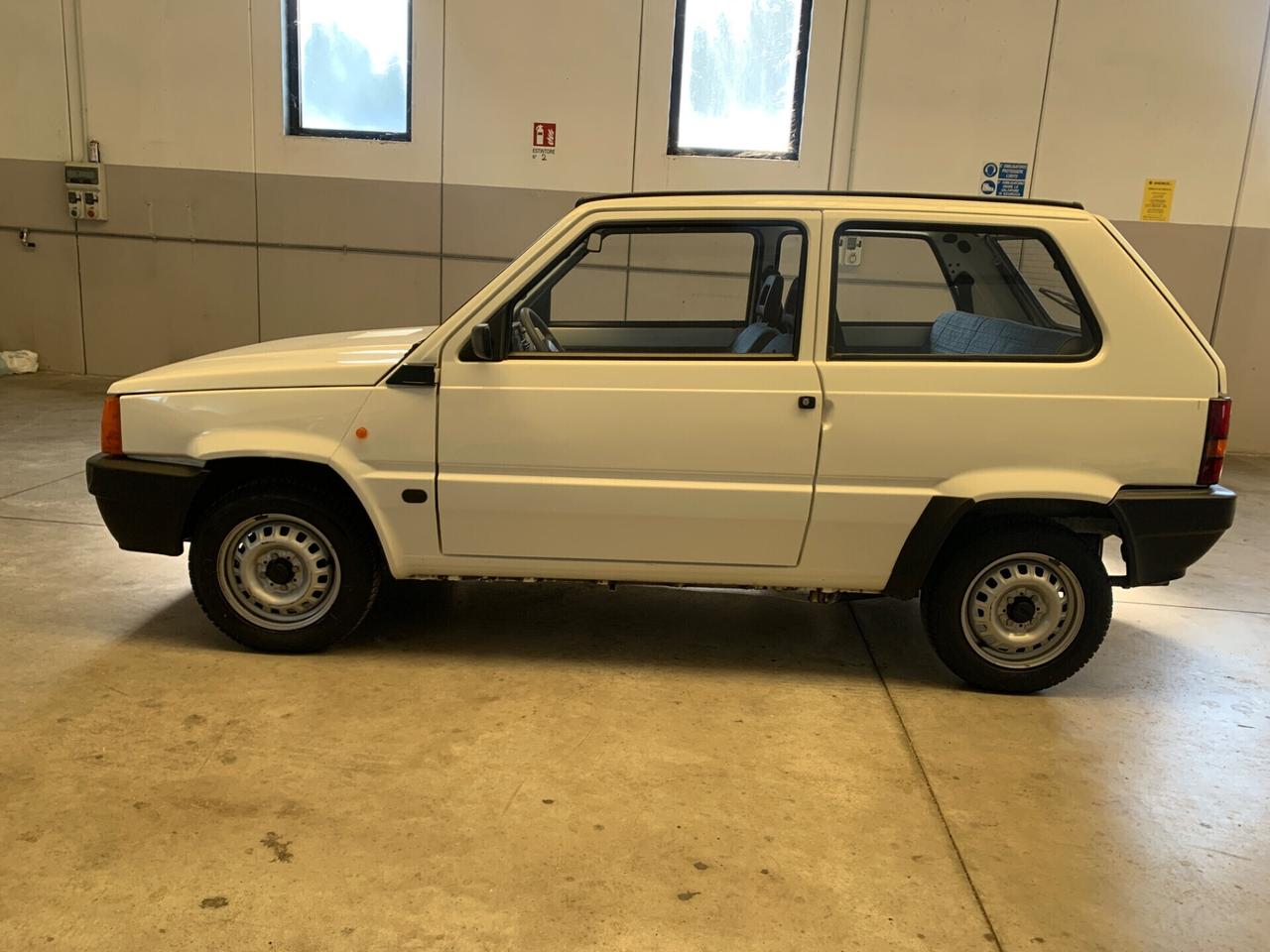 Fiat Panda 900 i.e. cat Young