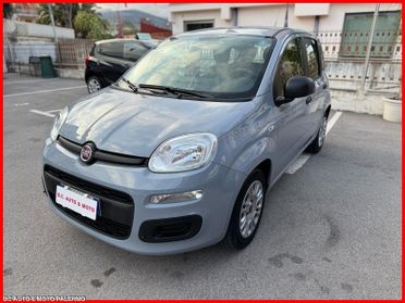 Fiat Panda 1.0 Benzina 70CV Hybrid.Nuov.a.2022