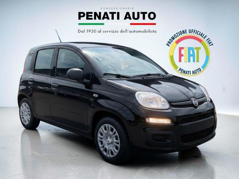 FIAT Pandina 1.0 FireFly 65cv S&S 6m Hybrid Icon