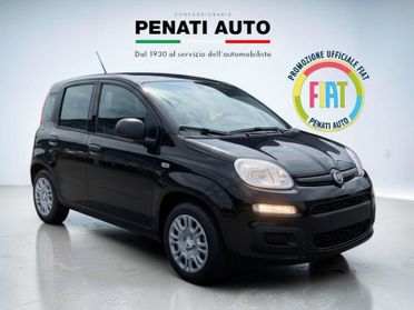 FIAT Pandina 1.0 FireFly 65cv S&S 6m Hybrid Icon