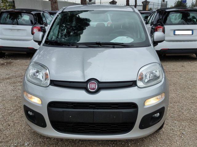 FIAT Panda 1.2 Lounge OK NEOPATENT. CLIMA,FENDINEBBIA