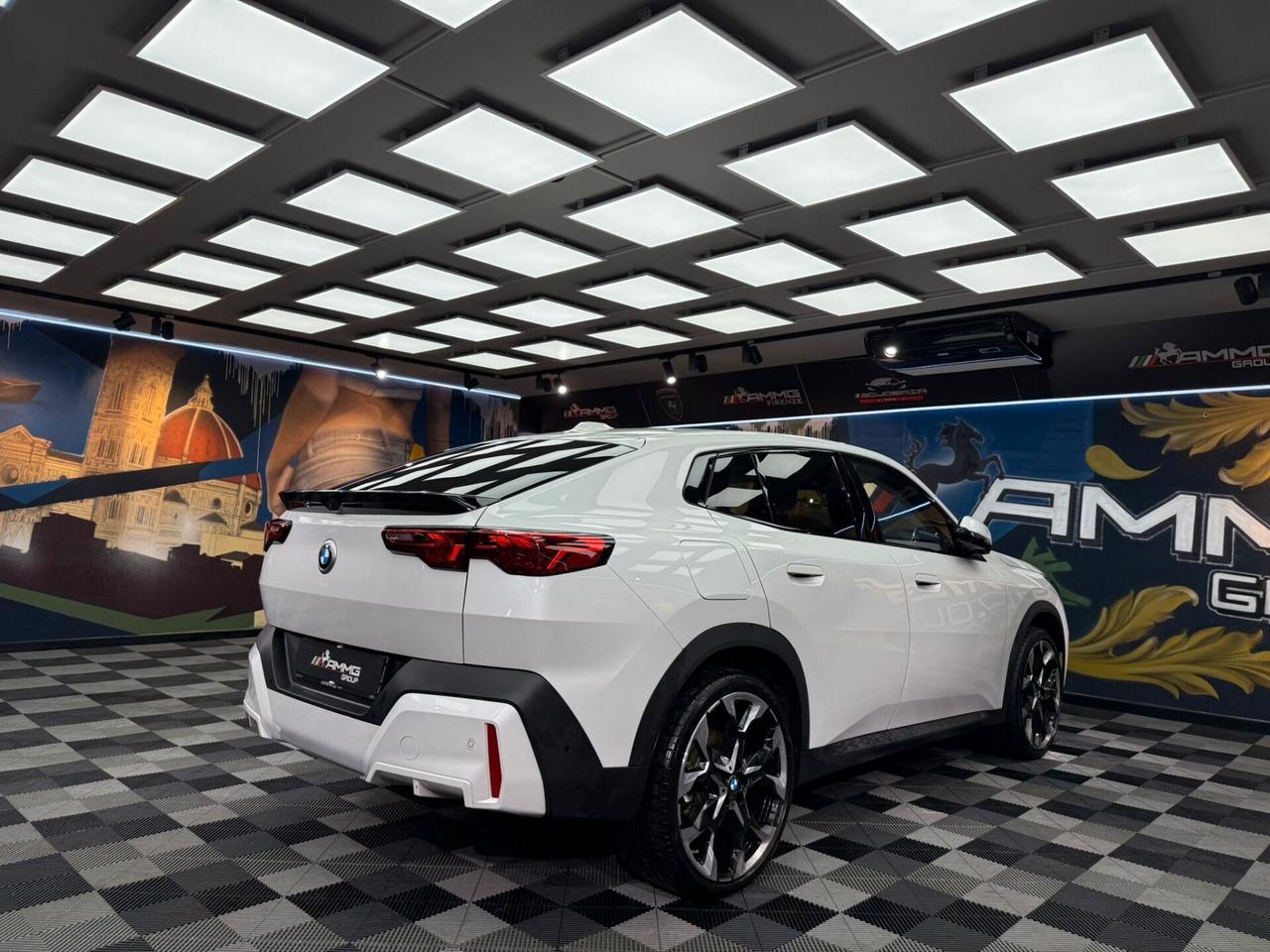 Bmw X2 xDrive 20d MSport (192)